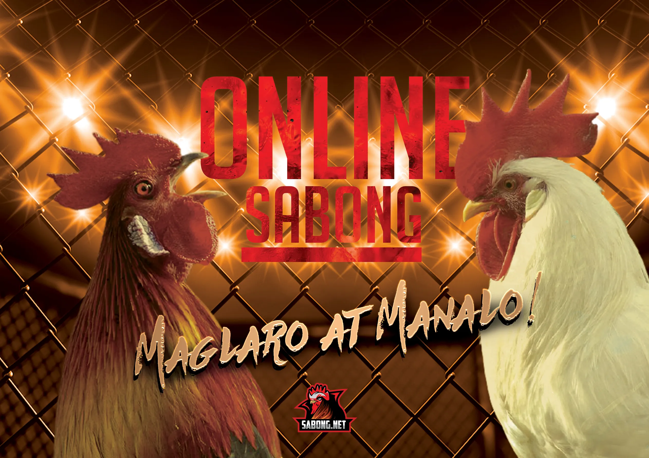 Here Are Some Online Sabong Winning Tips Sabongonlinegame Com