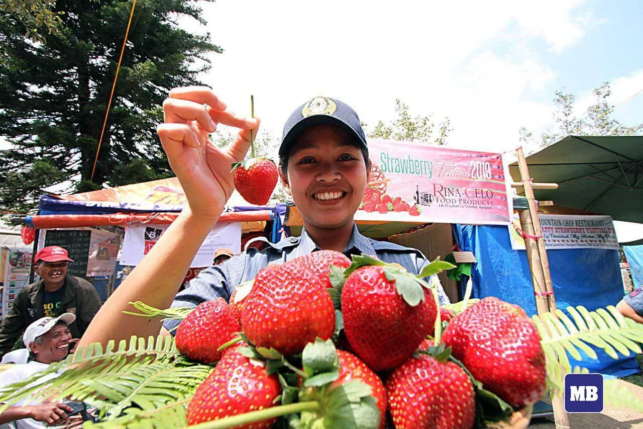 LOOK: La Trinidad Strawberry Festival 2022 list of activities is up