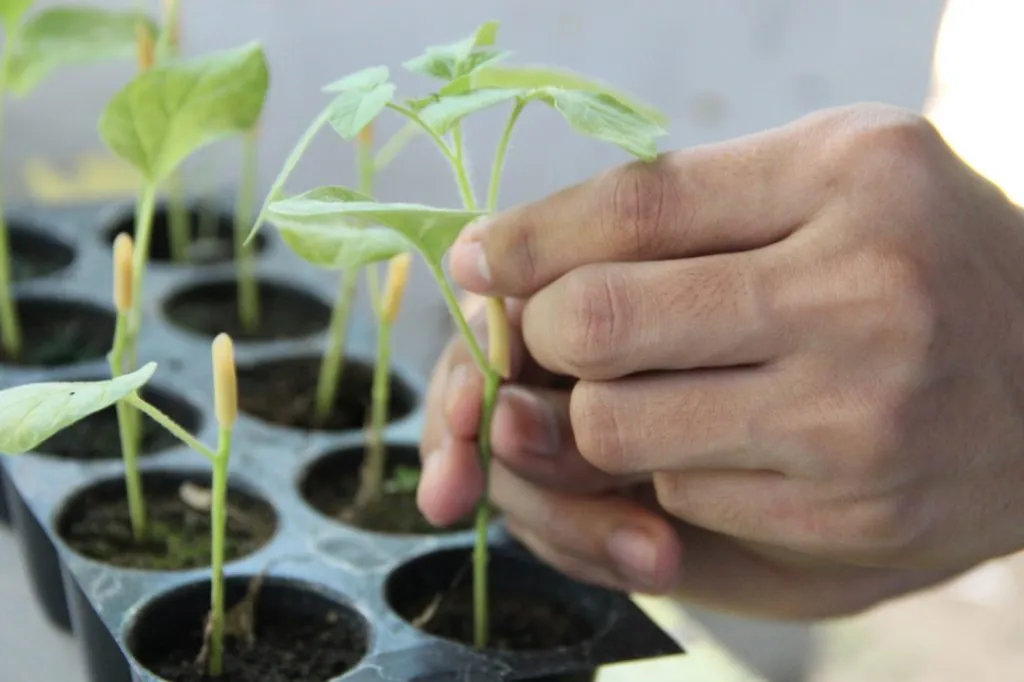 SciCAT Program uses for different technologies for farms